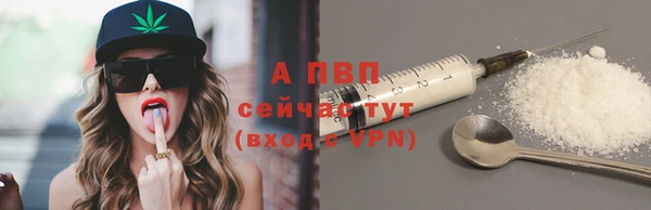гидра Верея