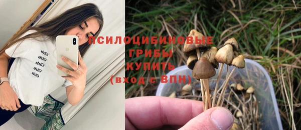 гидра Верея