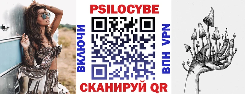 где найти наркотики  shop официальный сайт  Псилоцибиновые грибы Psilocybe  Кирово-Чепецк 